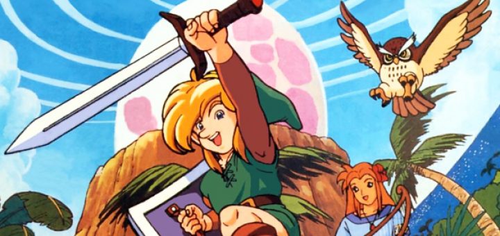 The Legend of Zelda Link's Awakening, The Completionist