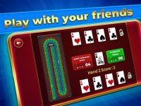 Cкриншот Cribbage Solitaire Challenge, изображение № 2341706 - RAWG