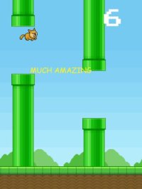 Cкриншот Flying doge: wow!, изображение № 1682814 - RAWG