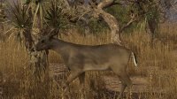 Cкриншот Pro Deer Hunting, изображение № 2280375 - RAWG