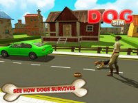 Cкриншот Amazing Dog Simulator: Play super dog life role, изображение № 1780084 - RAWG