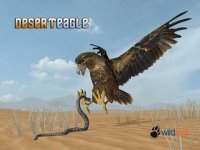 Cкриншот Desert Eagle Simulator, изображение № 2417193 - RAWG