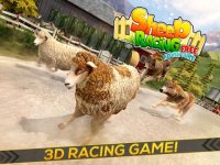 Cкриншот Sheep Racing Adventure in The Tiny Virtual Pet Town, изображение № 871937 - RAWG