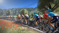 Cкриншот Pro Cycling Manager 2019, изображение № 1983031 - RAWG