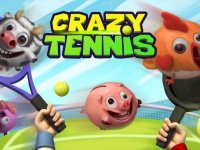 Cкриншот The Crazy Tennis, изображение № 1683040 - RAWG