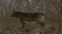 Cкриншот Pro Deer Hunting, изображение № 2280374 - RAWG