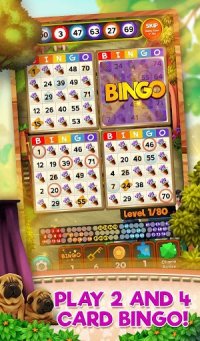 Cкриншот Bingo Pets Party: Dog Days, изображение № 2084376 - RAWG