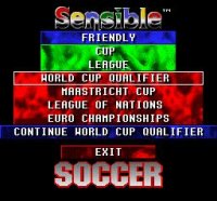 Cкриншот Sensible Soccer, изображение № 739541 - RAWG