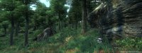 Cкриншот The Elder Scrolls IV: Oblivion Game of the Year Edition, изображение № 138530 - RAWG