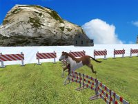 Cкриншот Wild Derby Riding - Horse Race, изображение № 980416 - RAWG