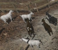 Cкриншот Goat Funnel, изображение № 1091414 - RAWG
