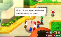 Cкриншот Mario & Luigi: Bowser's Inside Story + Bowser Jr's Journey, изображение № 779953 - RAWG