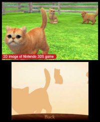 Cкриншот nintendogs + cats: Toy Poodle & New Friends, изображение № 259730 - RAWG
