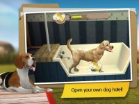 Cкриншот DogHotel: My Dog Boarding Kennel, изображение № 870185 - RAWG