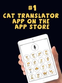 Cкриншот Cat Translator Deluxe, изображение № 2028381 - RAWG