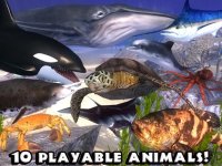 Cкриншот Ultimate Ocean Simulator, изображение № 1560309 - RAWG