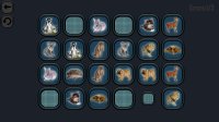 Cкриншот Animals Memory, изображение № 3594474 - RAWG