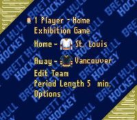 Cкриншот Brett Hull Hockey, изображение № 761330 - RAWG