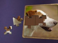 Cкриншот Super Jigsaws Dogs, изображение № 1330785 - RAWG