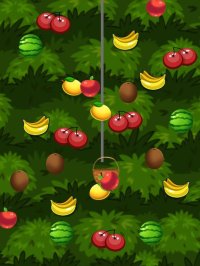 Cкриншот Fruit Scoop Berry Farm Master!, изображение № 1742158 - RAWG