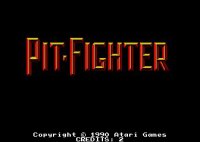 Cкриншот Pit-Fighter, изображение № 749509 - RAWG
