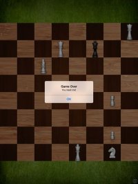 Cкриншот Mr Chess Pro, изображение № 1747196 - RAWG