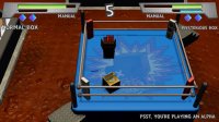 Cкриншот Box Fight Tournament, изображение № 2390613 - RAWG
