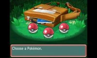 Cкриншот Pokémon Alpha Sapphire, Omega Ruby, изображение № 781409 - RAWG