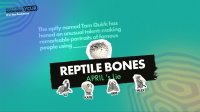 Cкриншот The Jackbox Party Pack 9, изображение № 3479900 - RAWG
