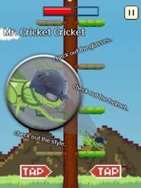 Cкриншот Cricket Jump, изображение № 1796493 - RAWG