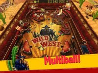 Cкриншот Wild West Pinball, изображение № 1354276 - RAWG
