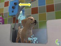 Cкриншот PS Vita Pets: Puppy Parlour, изображение № 1431134 - RAWG