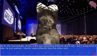 Cкриншот Cat President ~A More Purrfect Union~, изображение № 1673906 - RAWG