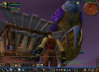 Cкриншот World of Warcraft, изображение № 352121 - RAWG