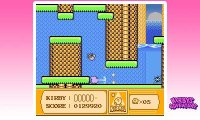Cкриншот 3D Classics: Kirby's Adventure, изображение № 267458 - RAWG
