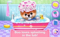 Cкриншот Boo - The World's Cutest Dog, изображение № 1540013 - RAWG