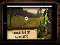 Cкриншот Archery Champion PRO (ADS FREE) 3D Bow Tournament Master, Sport Shooting Game, изображение № 981560 - RAWG