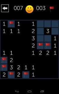 Cкриншот Minesweeper Fun, изображение № 1342258 - RAWG