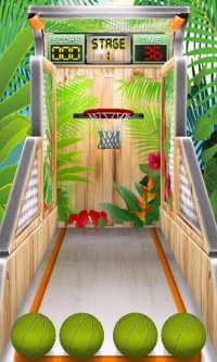 Cкриншот Basketball Mania, изображение № 1440592 - RAWG