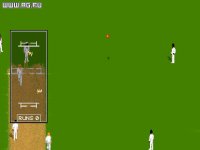 Cкриншот Allan Border's Cricket, изображение № 308458 - RAWG