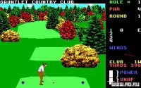 Cкриншот World Class Leader Board Golf, изображение № 337935 - RAWG