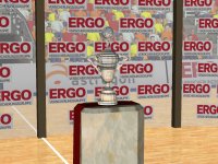Cкриншот Handball Simulator: European Tournament 2010, изображение № 556349 - RAWG