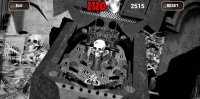 Cкриншот Pinball Skeleton 3D, изображение № 2615730 - RAWG