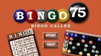 Cкриншот Bingo 75, изображение № 2086514 - RAWG