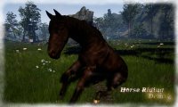 Cкриншот Horse Riding Deluxe, изображение № 716044 - RAWG