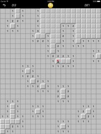 Cкриншот Minesweeper Classic Pro, изображение № 1996505 - RAWG