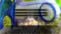 Cкриншот Hamster Watch, изображение № 2473710 - RAWG