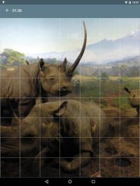 Cкриншот Jigsaw Puzzle: Animals, изображение № 1497944 - RAWG
