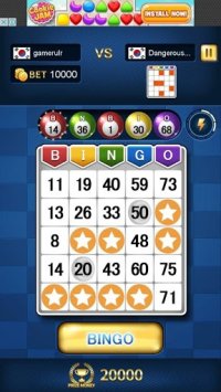 Cкриншот Bingo Master King, изображение № 2092539 - RAWG