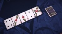 Cкриншот Poker Mega Pack, изображение № 765789 - RAWG